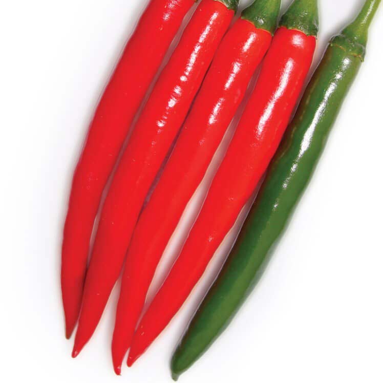 Nouveau piment le plus fort du monde : le pepper X - L'actu piquante